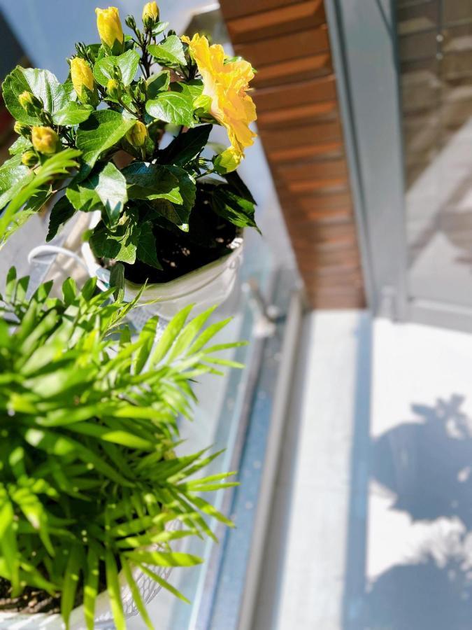 Suri'S Homestay Quy Nhon Exterior foto